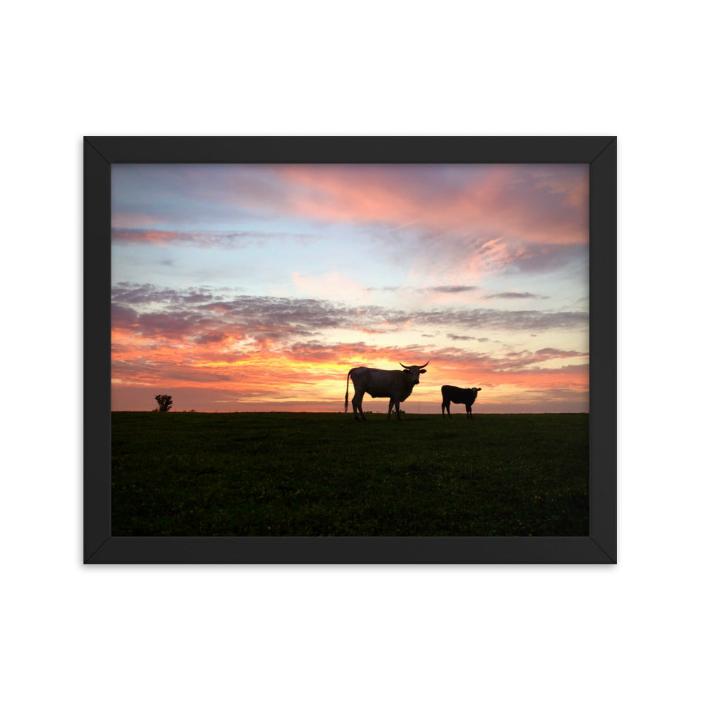 Sunset Cow & Calf