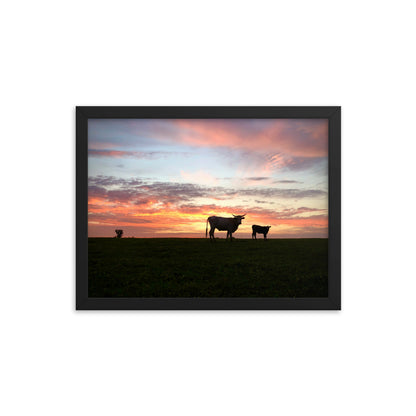 Sunset Cow & Calf