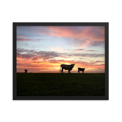 Sunset Cow & Calf