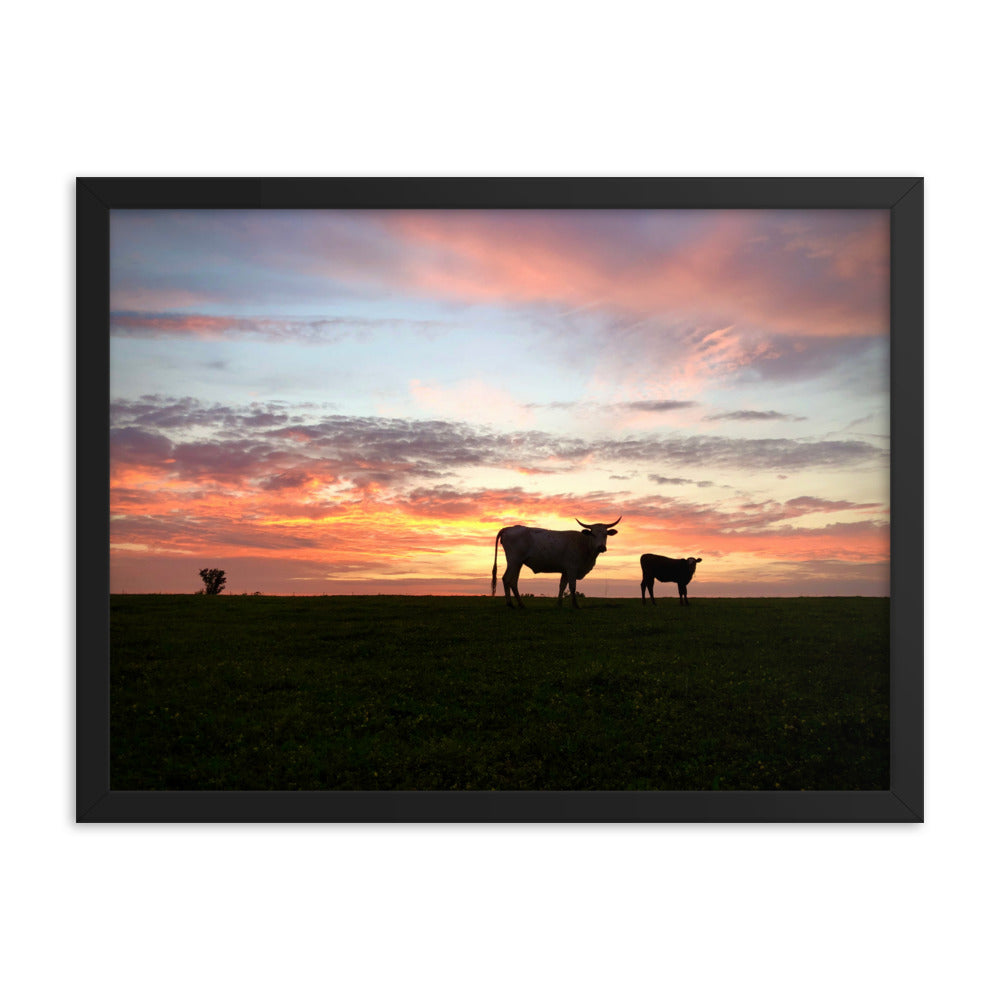 Sunset Cow & Calf