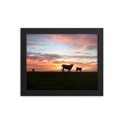 Sunset Cow & Calf